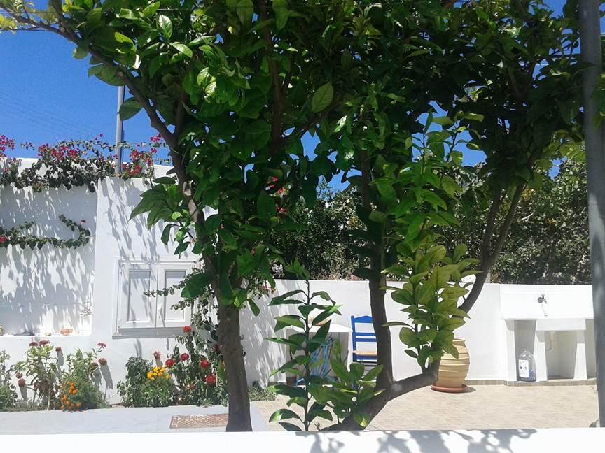 Matilda Milos - Cycladic Living Lägenhet Triovasálos Exteriör bild