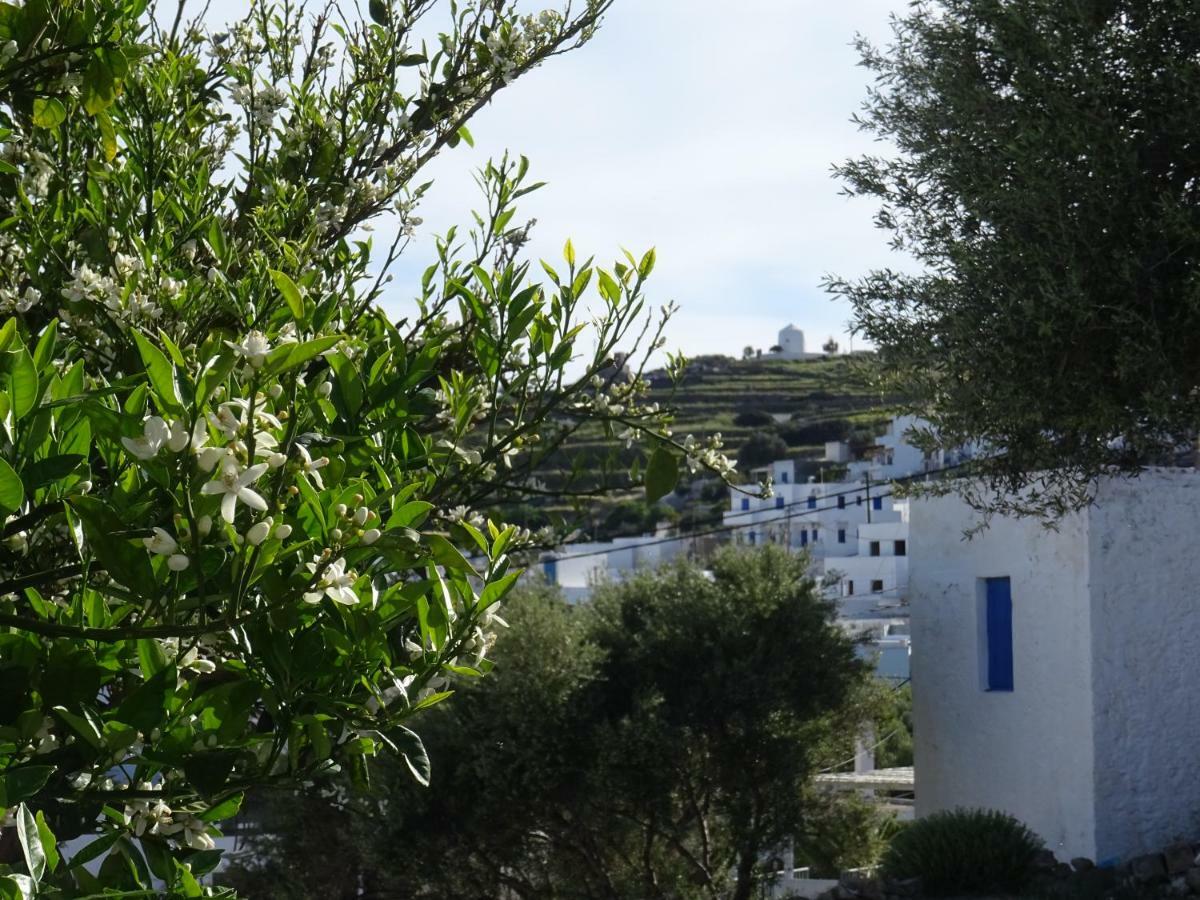Matilda Milos - Cycladic Living Lägenhet Triovasálos Exteriör bild