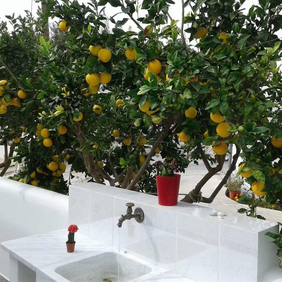 Matilda Milos - Cycladic Living Lägenhet Triovasálos Exteriör bild